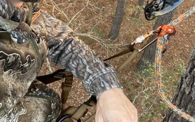 Basics of Saddle Hunting for a Stealthy Hunt