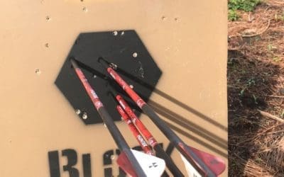 Bow Hunting: Importance of Proper Form and Technique
